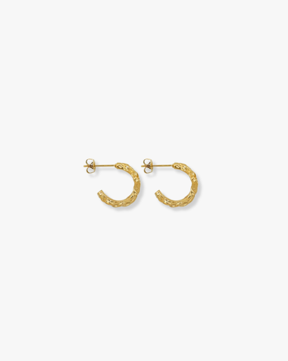 Cassia Textured Mini Hoops in Gold