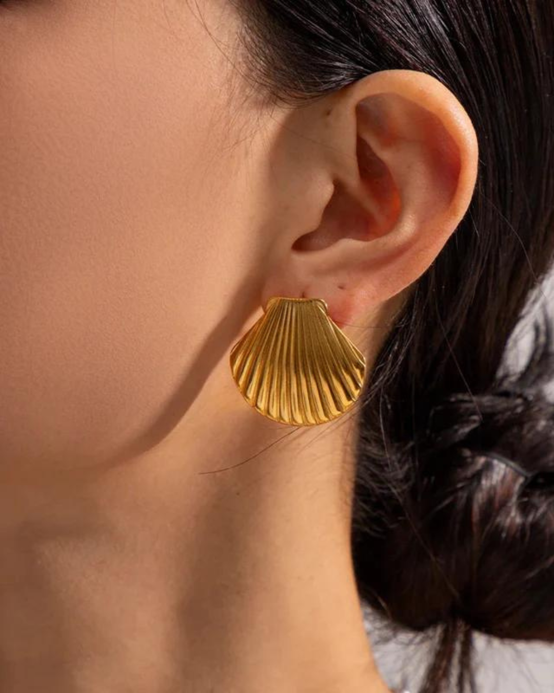 Seashell Stud Earrings in Gold