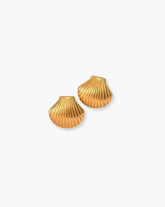 Seashell Stud Earrings in Gold